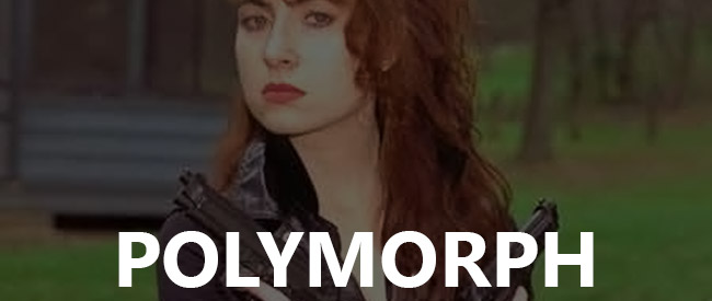 polymorph-banner