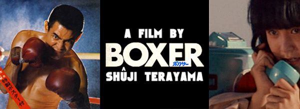 boxer-banner