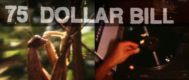 75dollarbill_banner