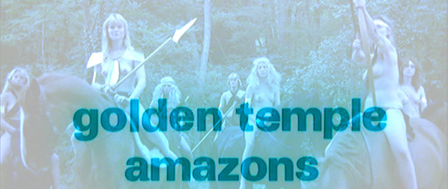 Golden Temple Amazons Banner