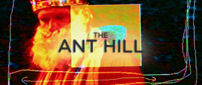 anthill-banner
