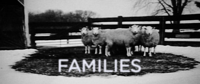 families-banner