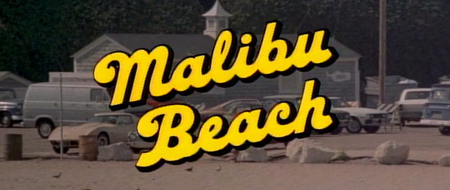 malibu_beach_header