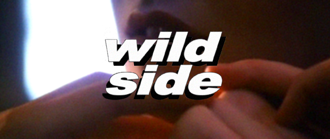 WildSideBanner (1)