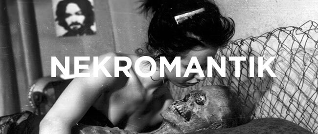 nekromantik_banner