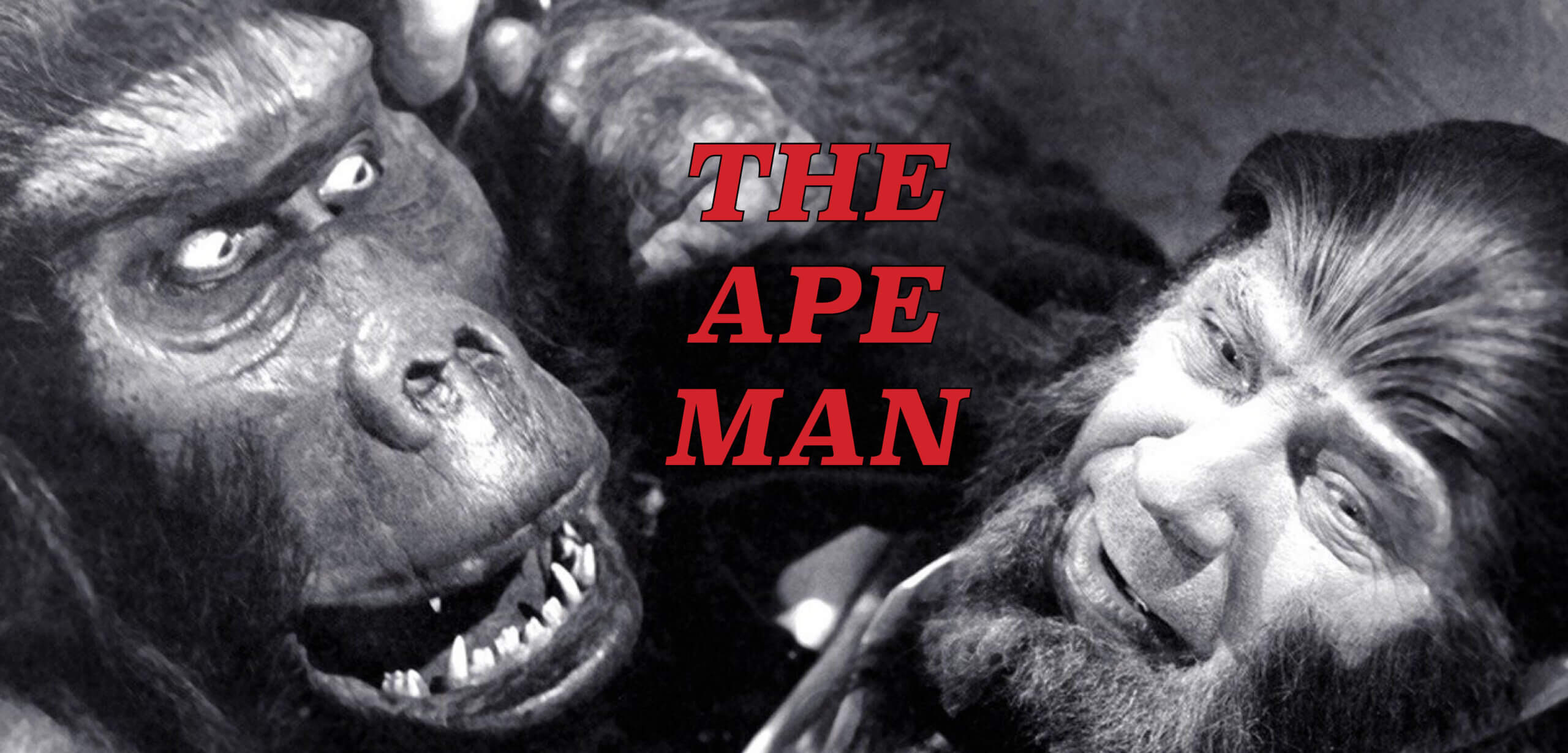 THE APE MAN