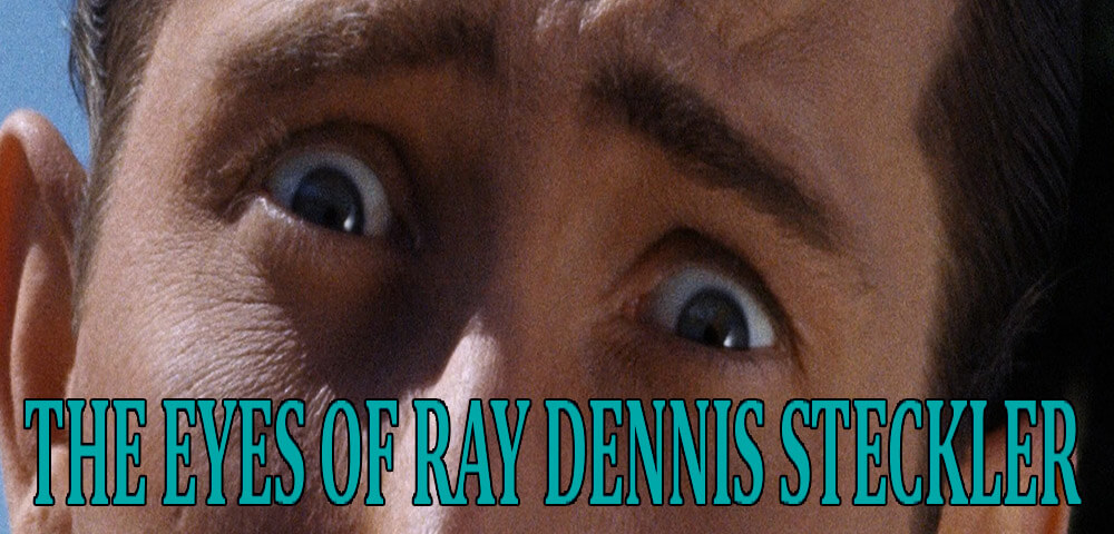 THE EYES OF RAY DENNIS STECKLER