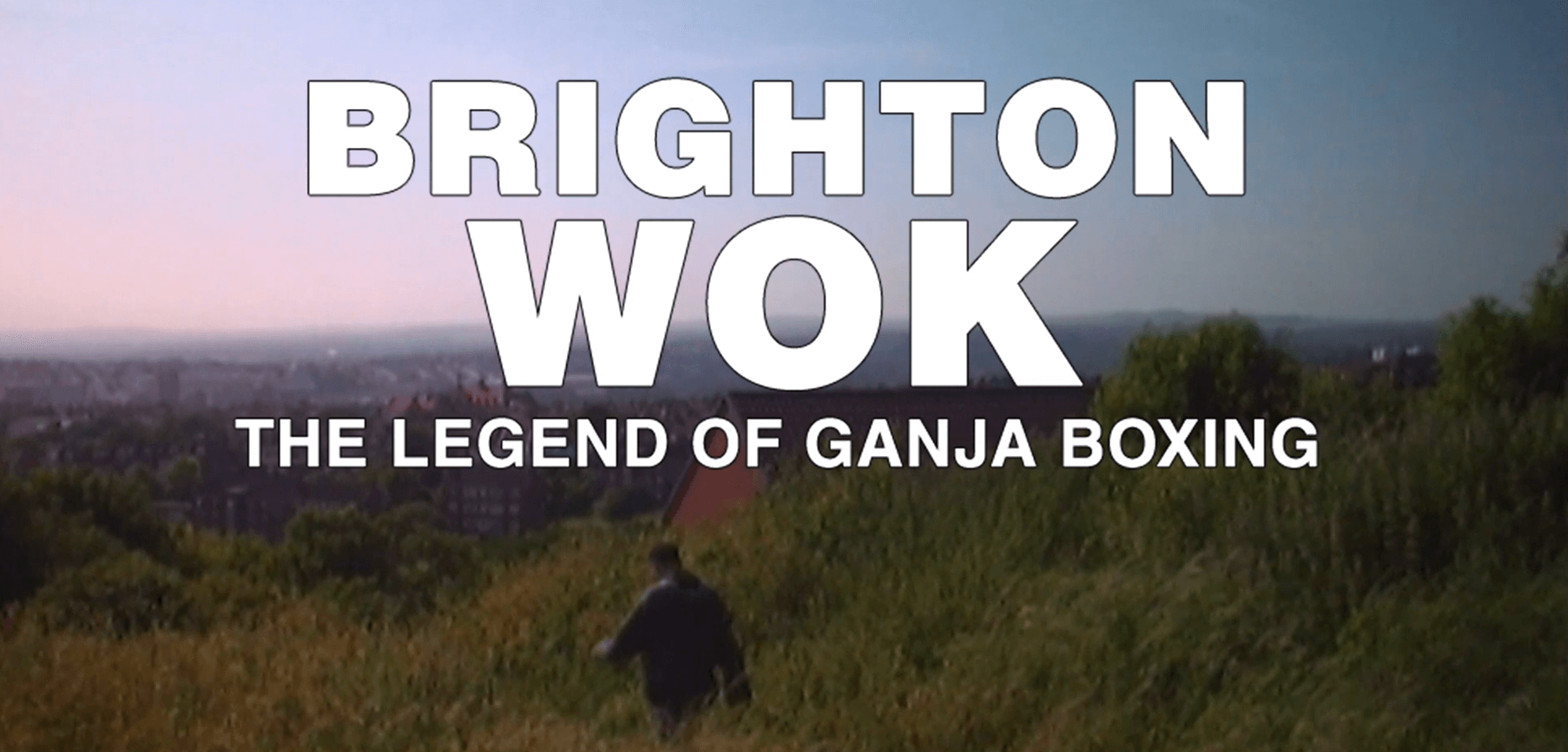 BRIGHTON WOK