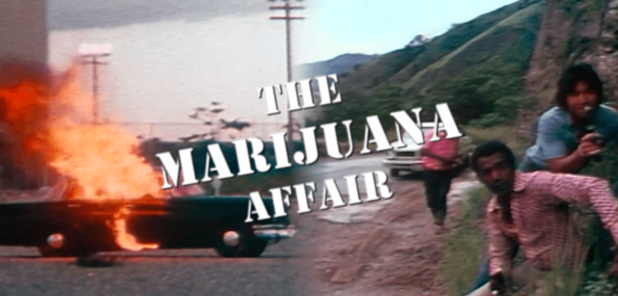 THE MARIJUANA AFFAIR