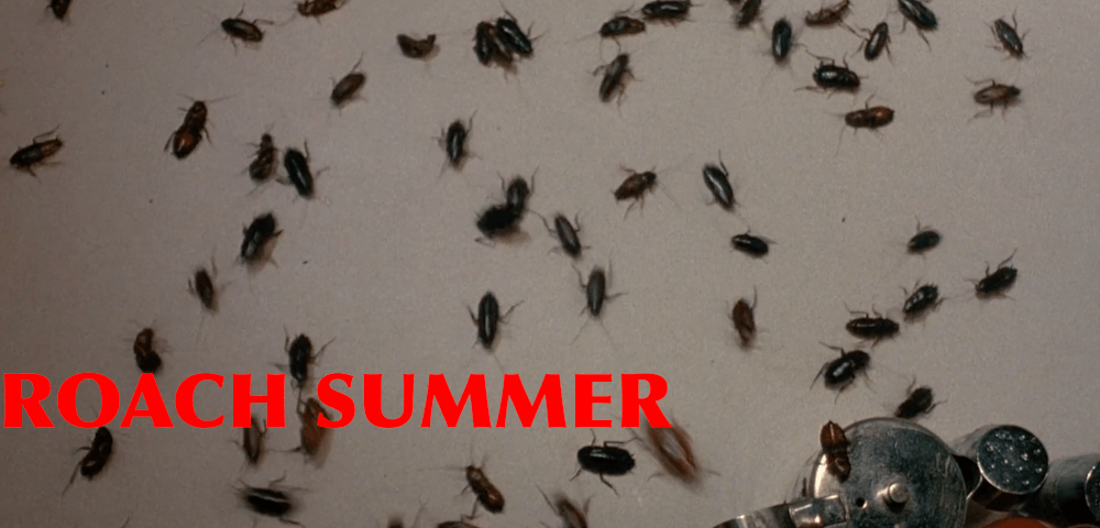 RAT SUMMER: COSMIC COCKROACH INVASION