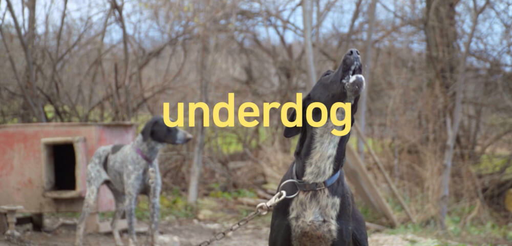 UNDERDOG